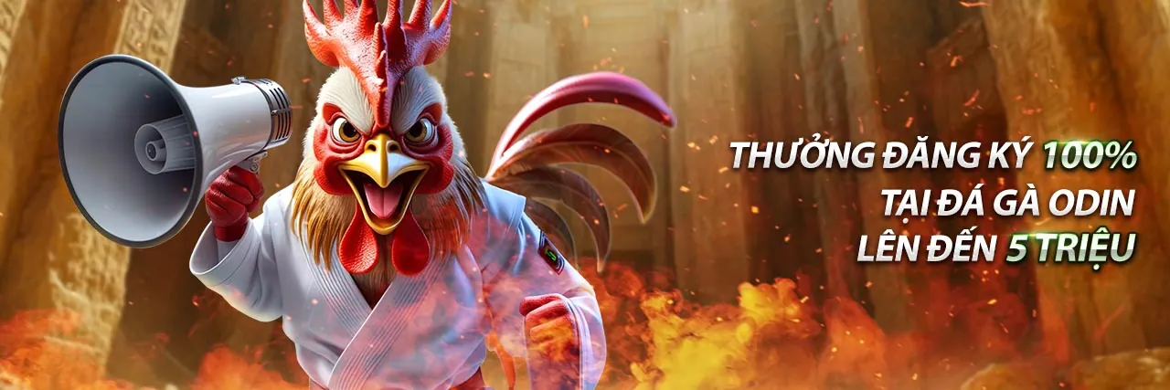 Tin tức W388 mới nhất, cập nhật sự kiện và khuyến mãi độc quyền